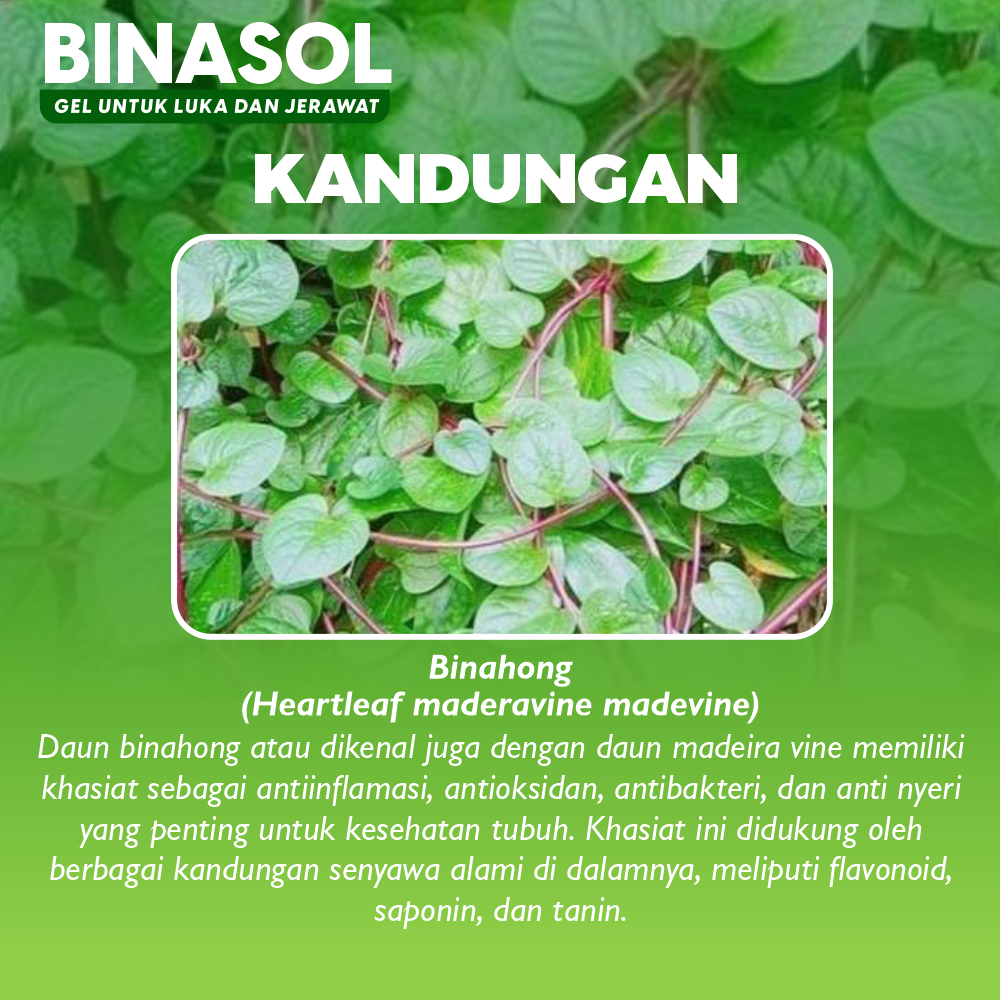 Binasol 4