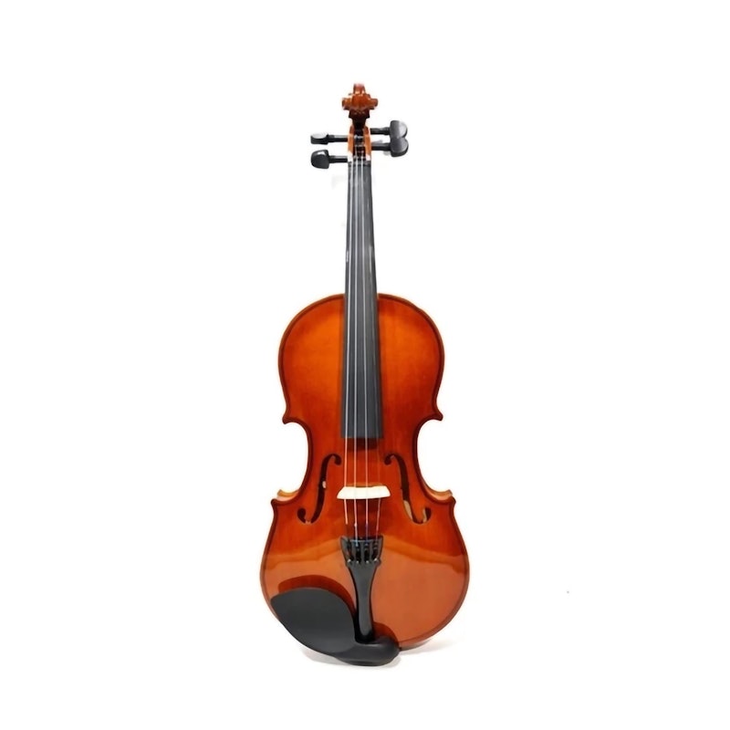Vienna Biola Akustik 2