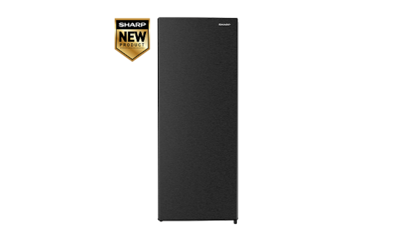 Standing Freezer 5