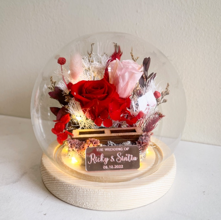 Olivia Ring Bearer 4