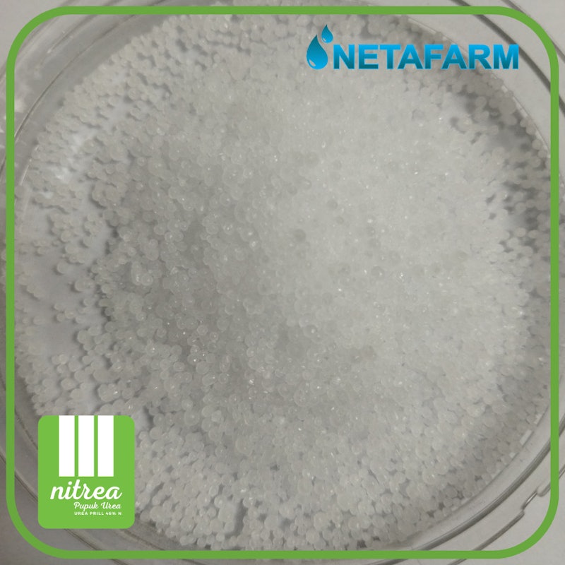 Nitrea 4
