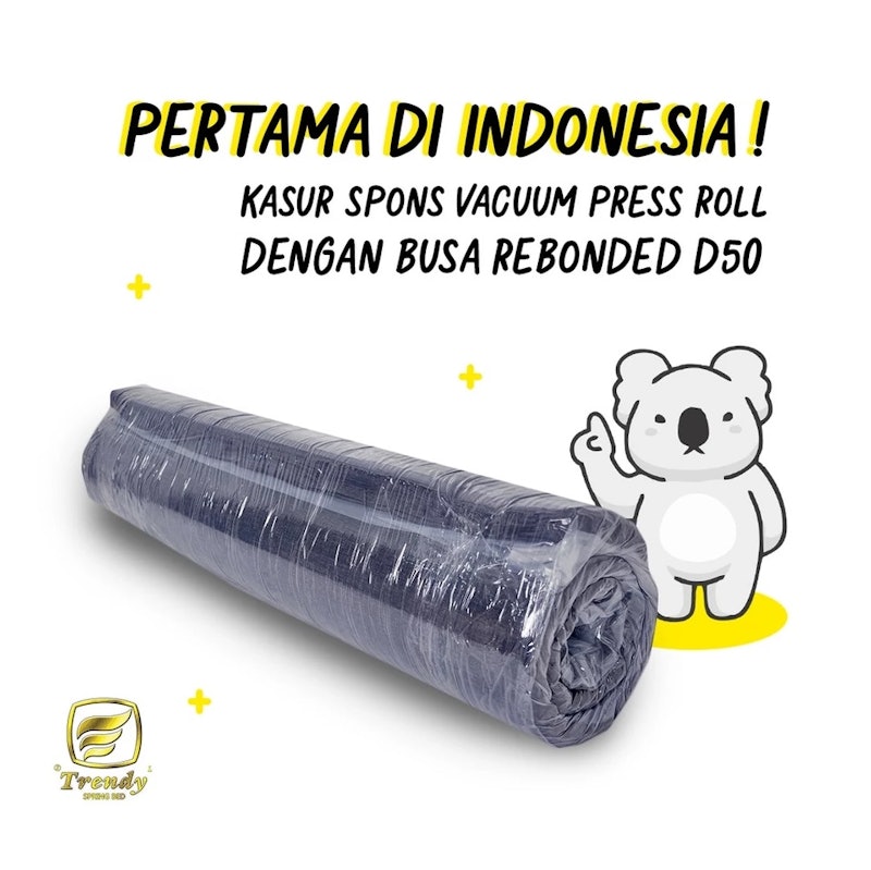 Trendy Heaven Rebonded Foam Mattress 5