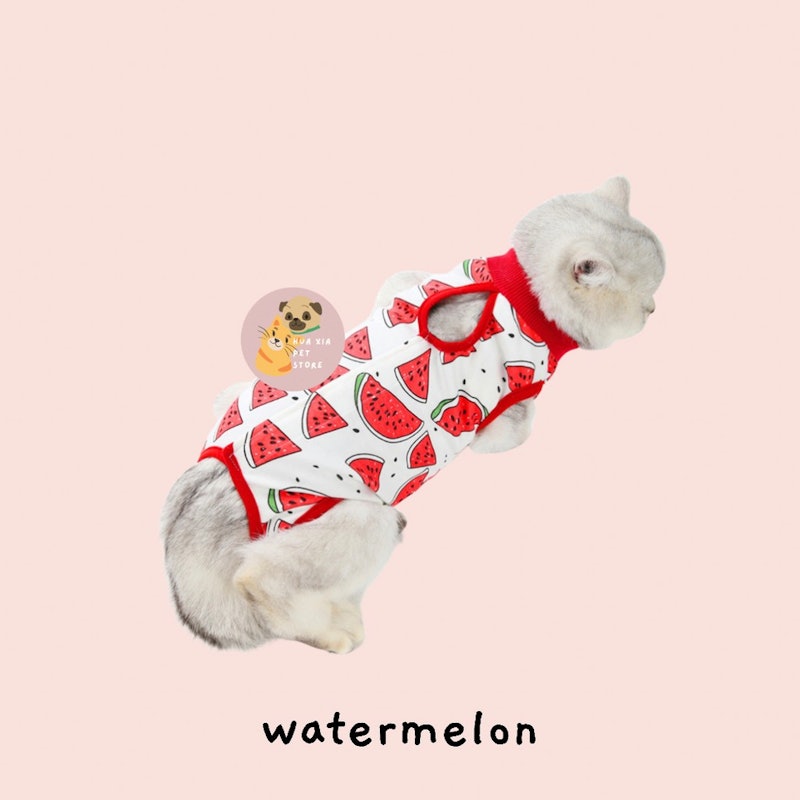 Baju Kucing Untuk Recovery 4