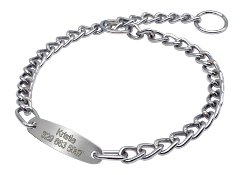 Personalized Dog Chain Name Tag 1