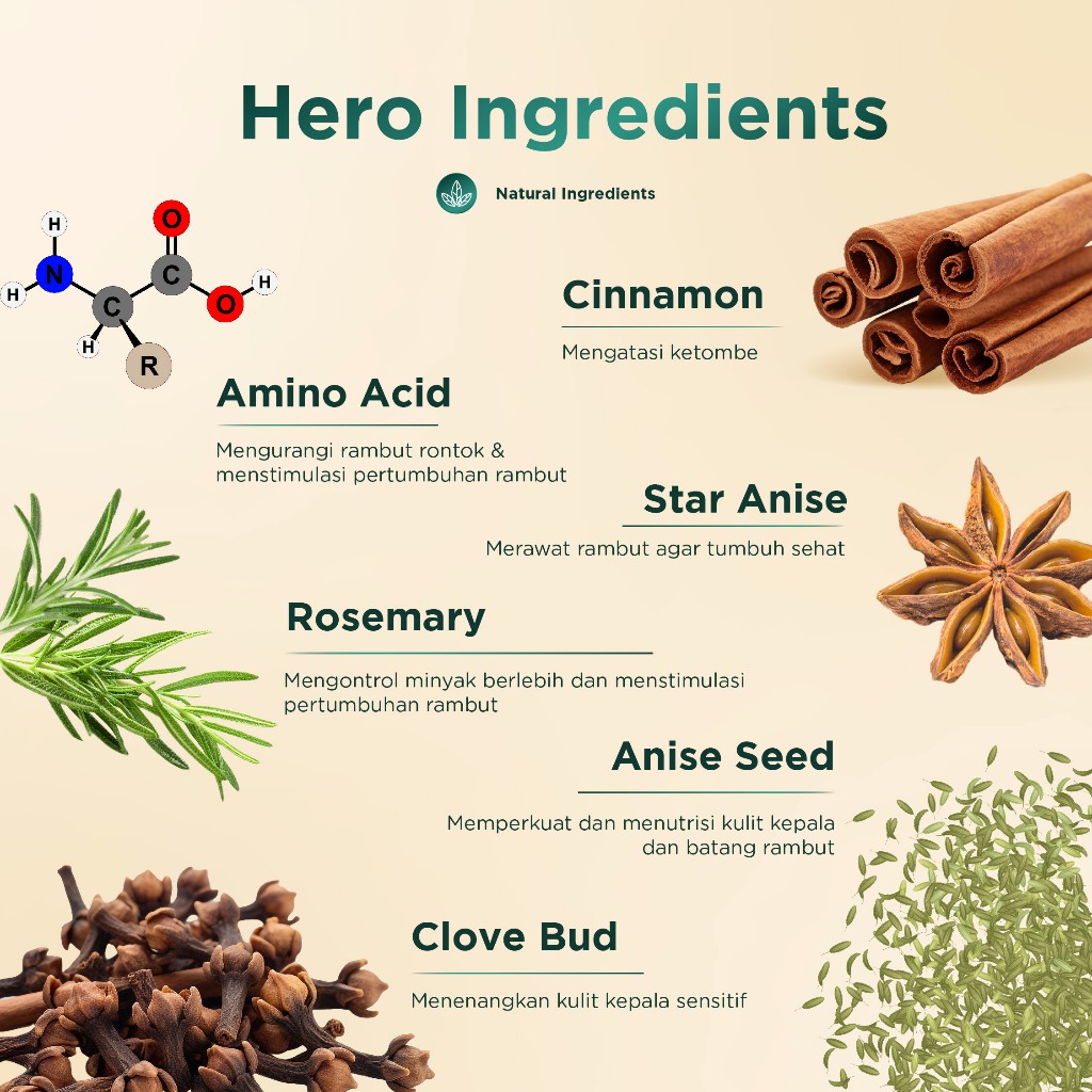 Ree Derma Indonesia Ree Derma Wellness Cinnamon & Amino Acid Mild Shampoo