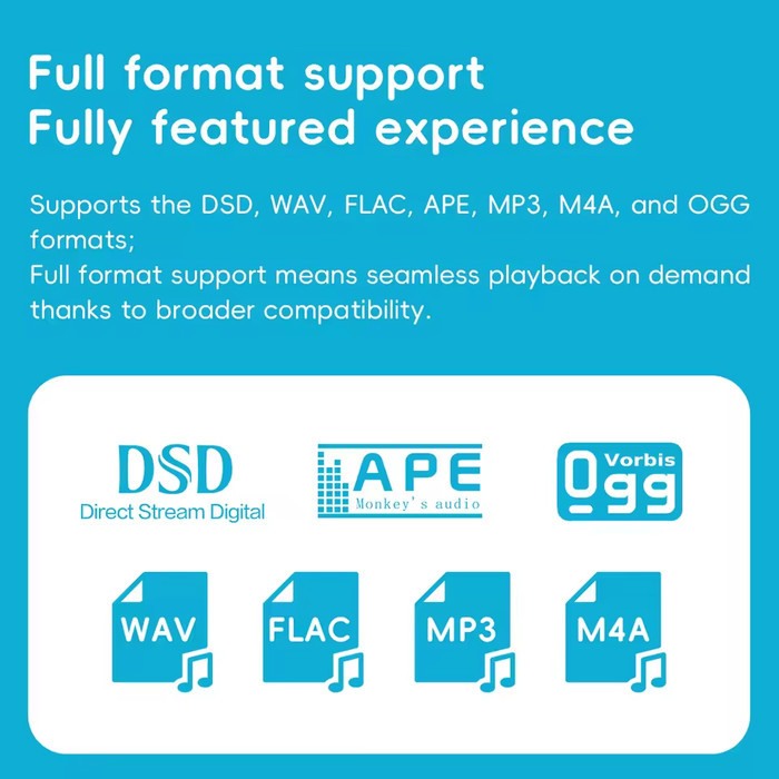 GuangZhou FiiO Electronics Technology FiiO Snowsky ECHO MINI MP3 Player