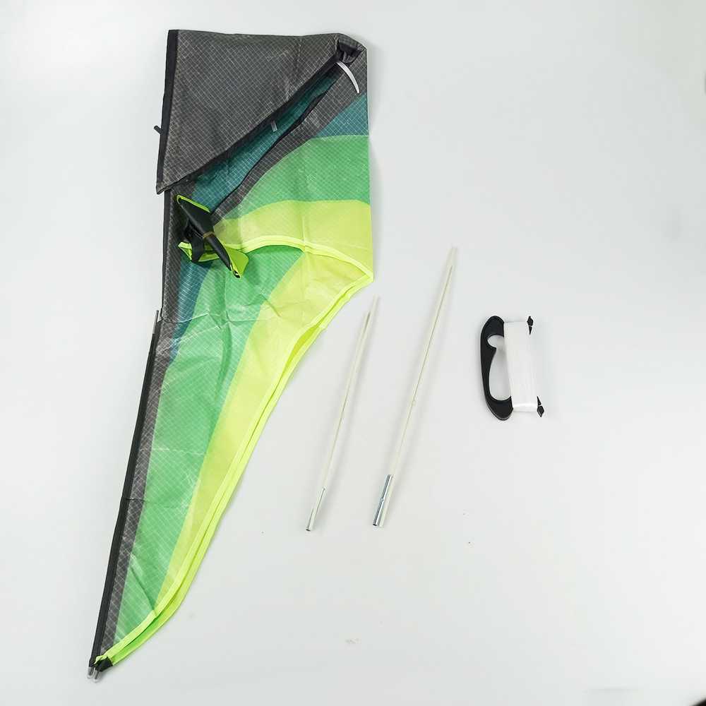 Sport Beach Fly Kite 2