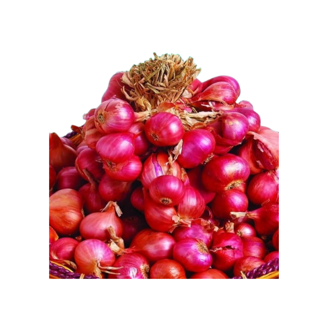 10 Rekomendasi Bibit Bawang Merah Terbaik (Terbaru Tahun 2026) 4