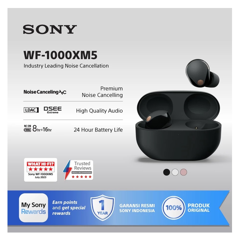 Sony Group Sony True Wireless Earbuds WF-1000XM5