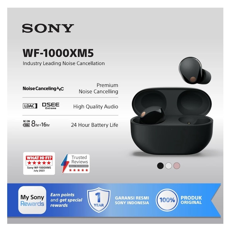 True Wireless Earbuds 2