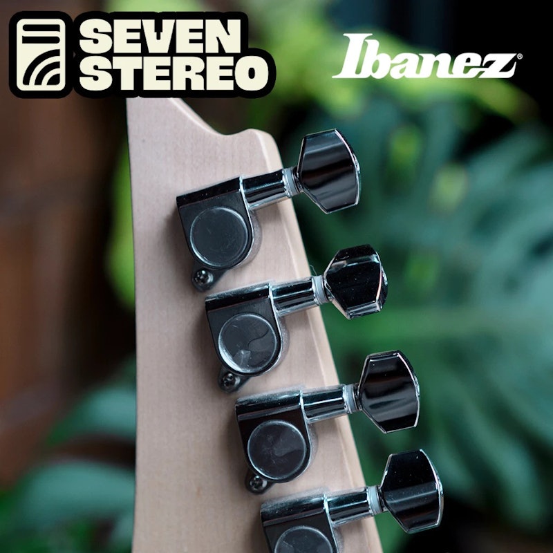 Ibanez® Electric Guitar 4