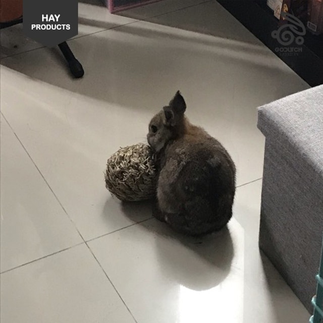  Timothy Hay Ball with Bell