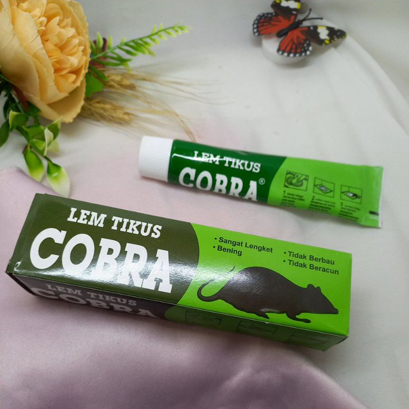 COBRA COBRA Lem Tikus
