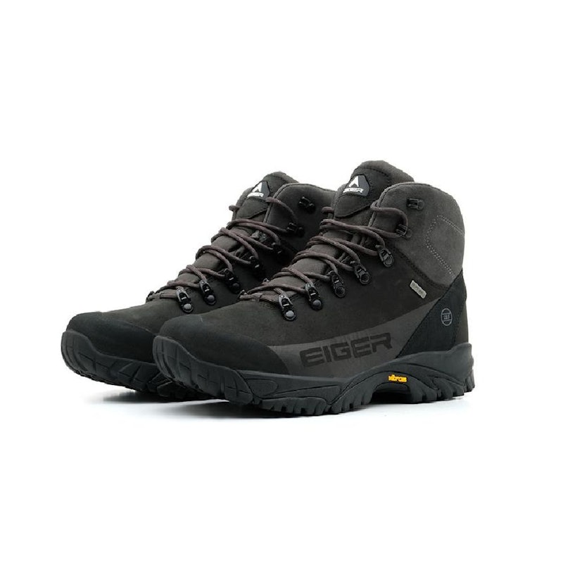 Eiger Eagle Plum 2.0 1