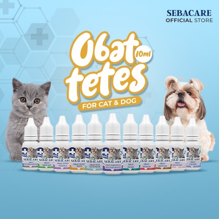 Sebacare Obat Diare 4