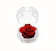 PreFleur Petite Gift 1