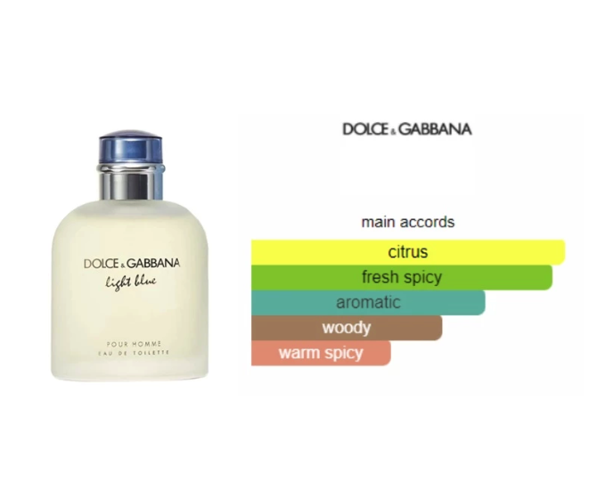 Dolce & Gabbana Light Blue Pour Homme