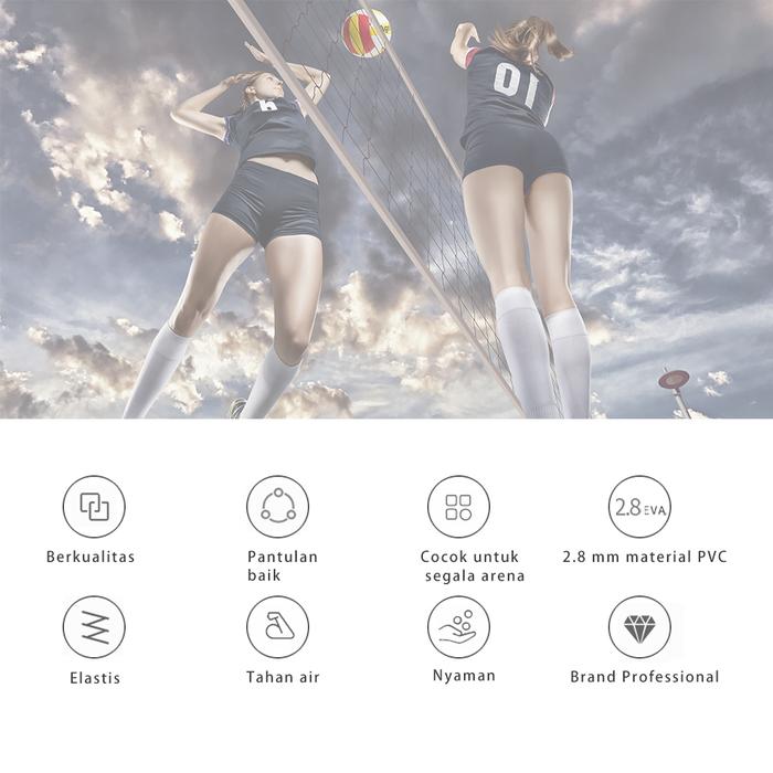 Deli Group Agnite Volley Ball  F1253