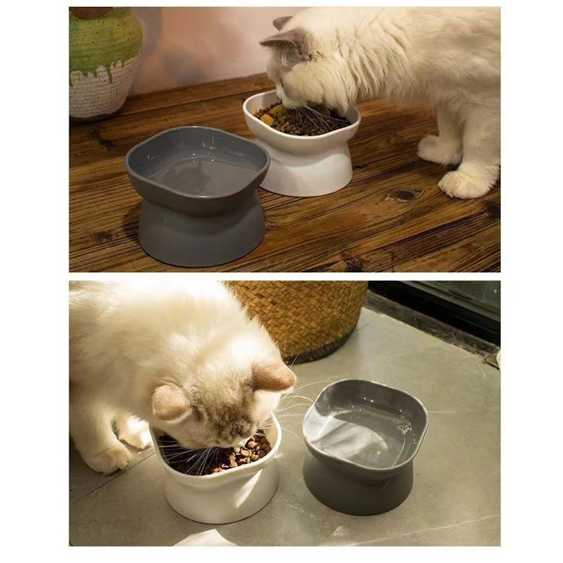 Royal Pet Paradise Mangkuk 2in1 2