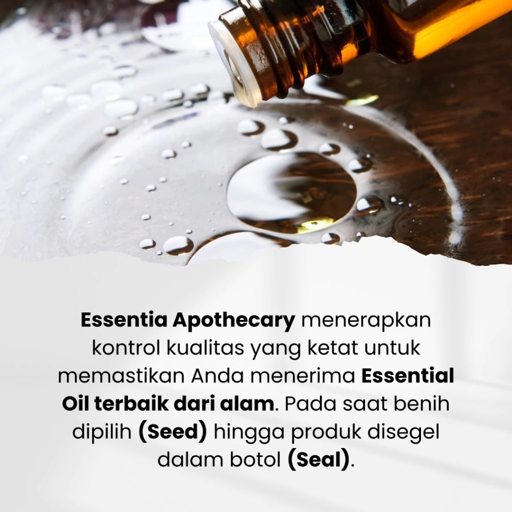  Essentia Apothecary Tea Tree Pure 100% Essential Oil