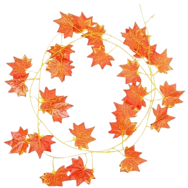 Daun Rambat Maple Orange