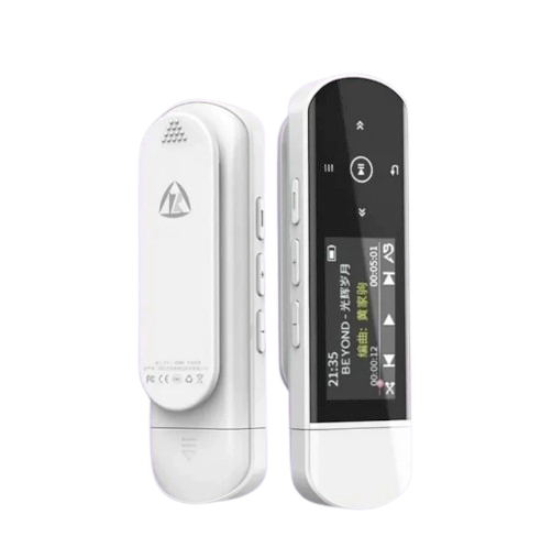 RUIZU 2in1 DAP ｜ X69