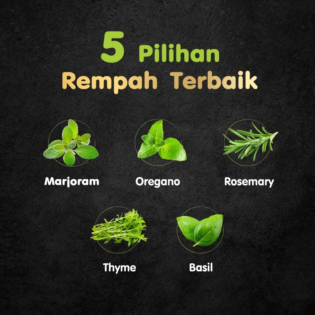 Mars Cesar Makanan Anjing Basah 16 Pack