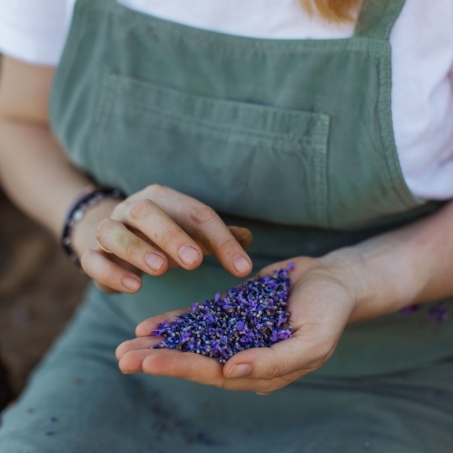 Dried Lavender Tea