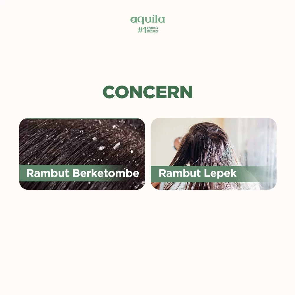 Aquila Natural Globalindo Aquila Scalp Care Natural Shampoo