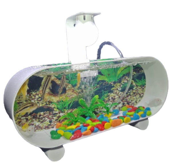 10 Aquarium Kecil Terbaik - Ditinjau oleh Pebisnis Ikan Cupang (Terbaru Tahun 2026) 4