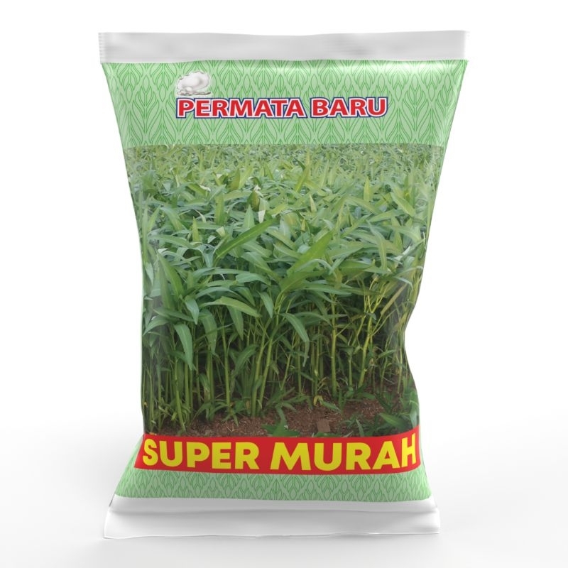 Benih Kangkung Super Murah