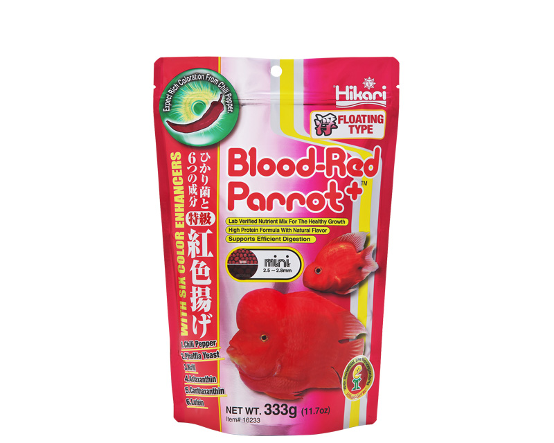 Blood Red Parrot Mini