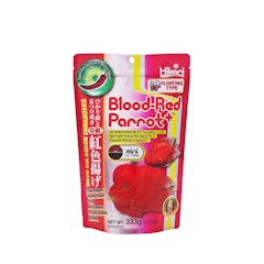 Blood Red Parrot Mini