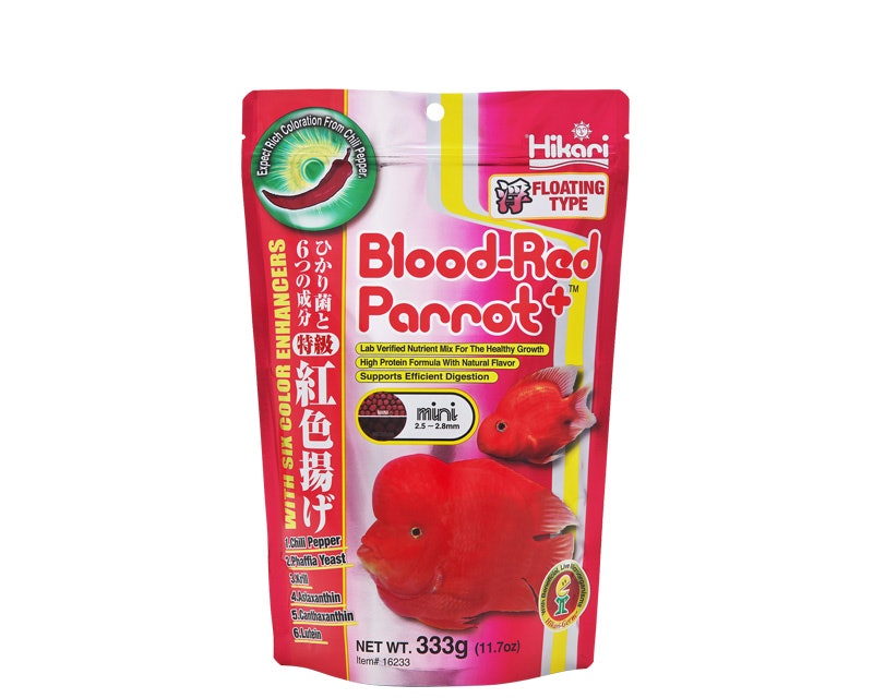 Blood Red Parrot Mini 1