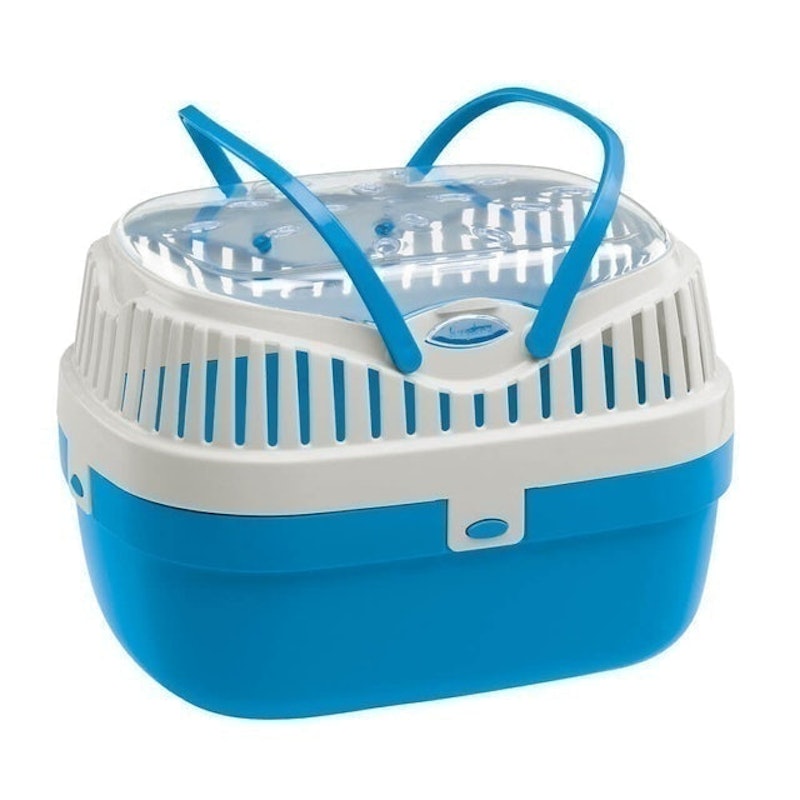 Aladino Medium 2