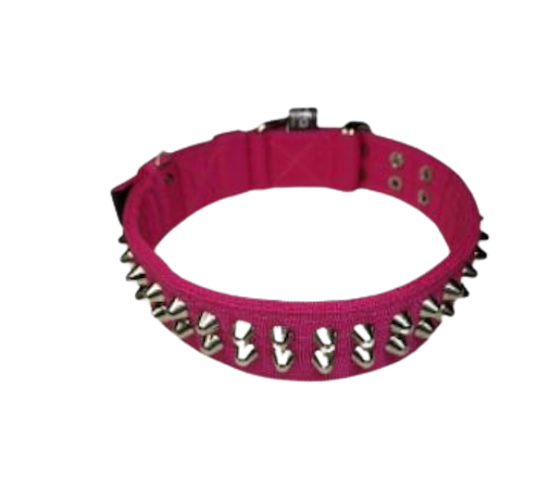 Dog Collar Spike 1