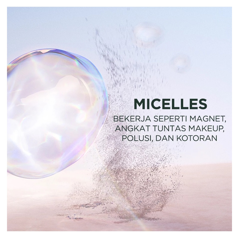 L'Oréal Garnier Micellar Cleansing Water Salicylic BHA