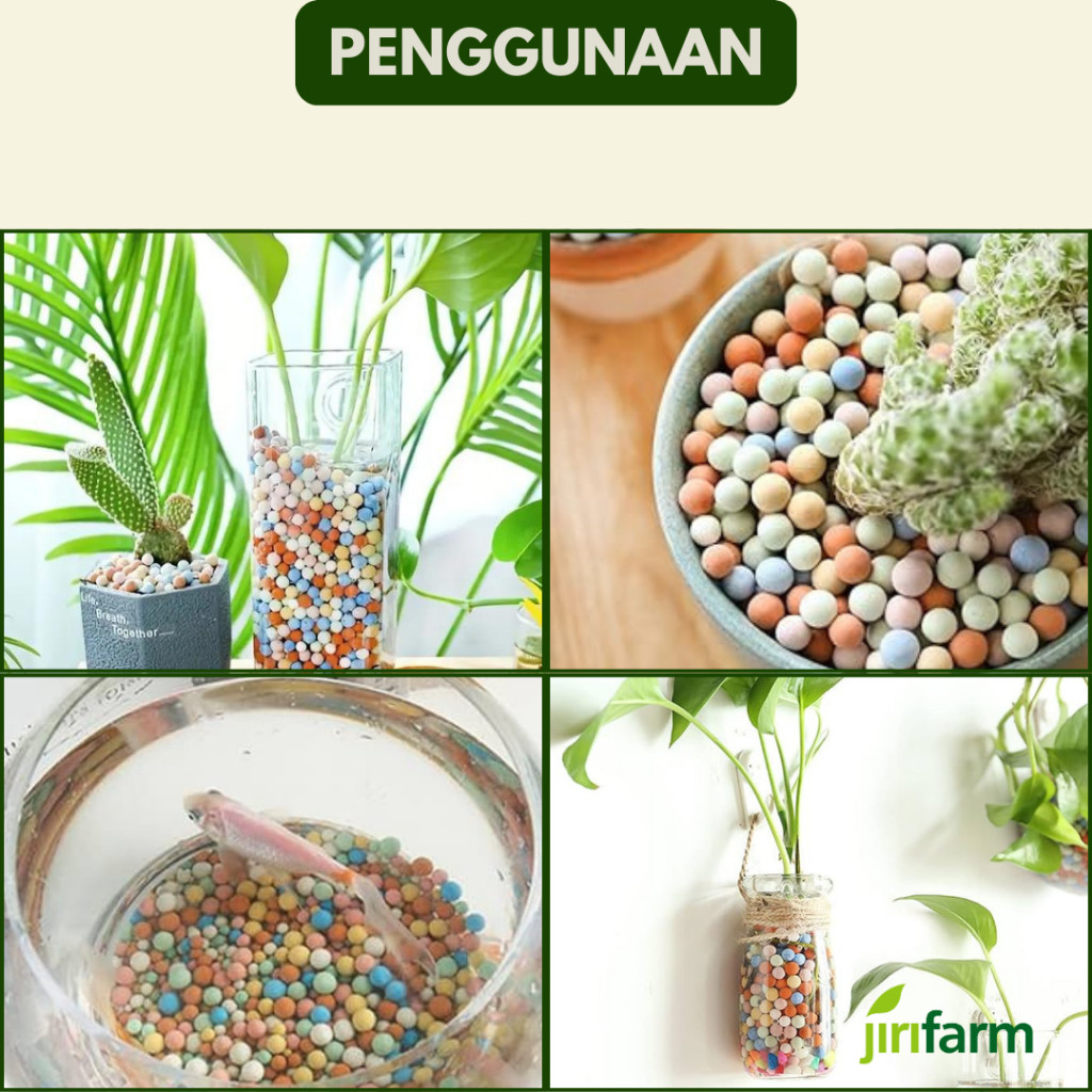 JIRIFARM Hidroton Rainbow Import