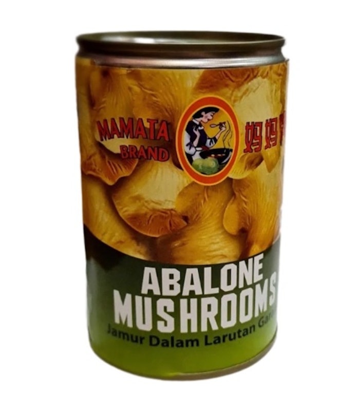 Abalone Mushroom 1