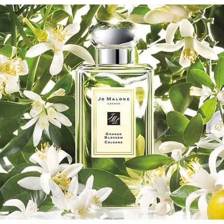 JO MALONE LONDON Orange Blossom Cologne