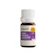 Hasanayu Putri Jelita Capsen Pure French Lavender Essential Oil 1