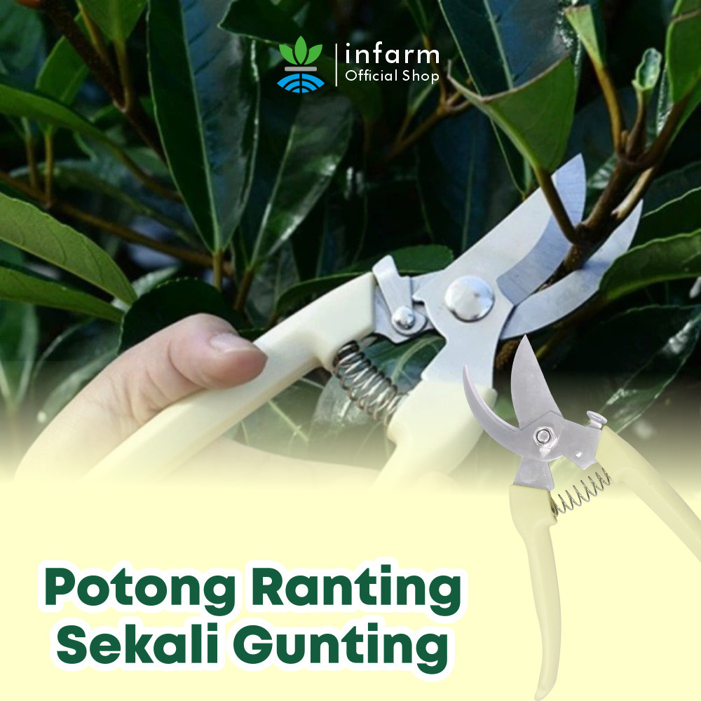 Infarm Stainless Steel Pruning Shears 4