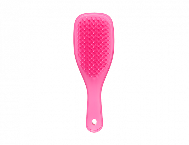 The Wet Detangler Mini Size