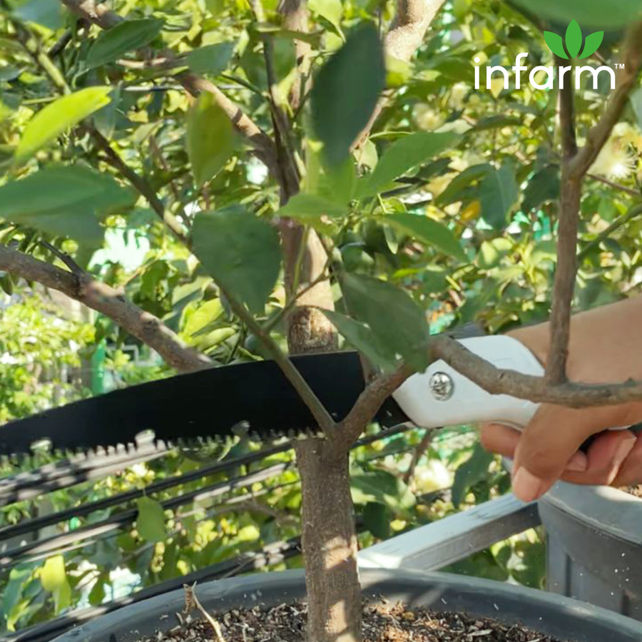 Infarm Folding Wood Hand Saw 4