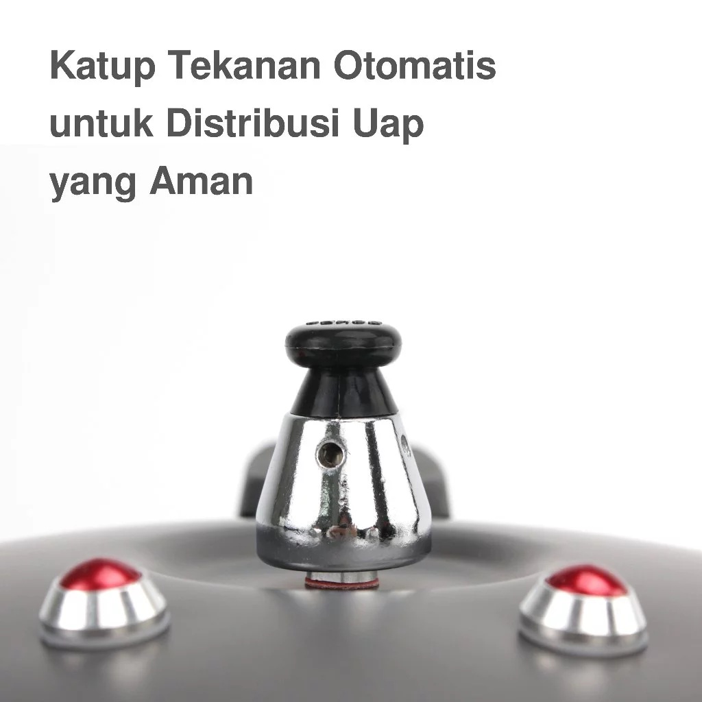 Sanex Sanex Panci Presto 8 liter  SP-08 B