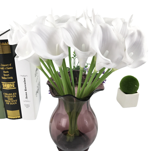 Bunga Lily Hias Calla Cala Lili