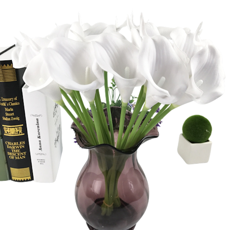Bunga Lily Hias Calla Cala Lili 1