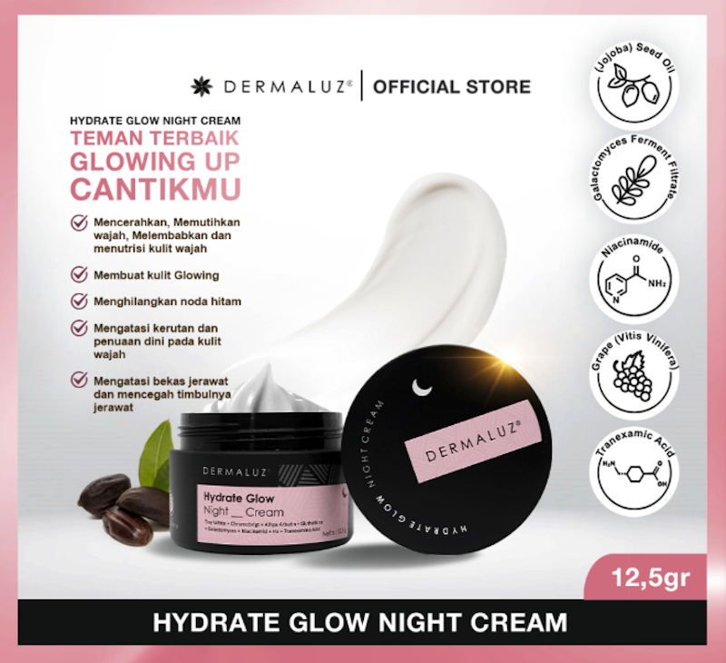 Dermaluz Hydrate Glow Night Cream 2