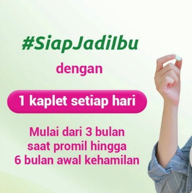 DKT Indonesia Andalan Nutrifemme Folamom