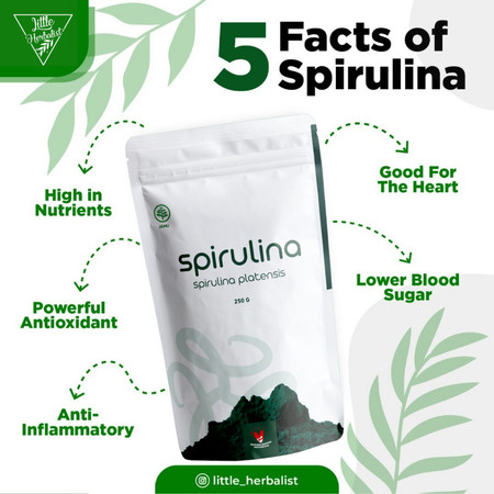 Kehidupan Tropis Indah Nilaya Organic Spirulina Powder 
